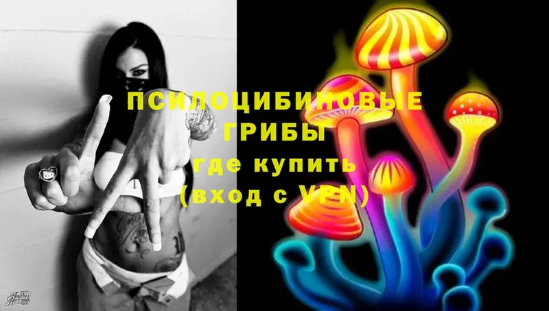 Псилоцибиновые грибы Magic Shrooms  купить   Саранск 