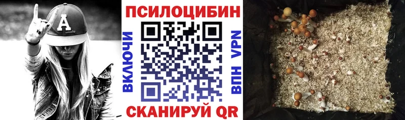 хочу наркоту  Саранск  Галлюциногенные грибы MAGIC MUSHROOMS 